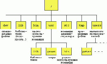 Структура корневого каталога